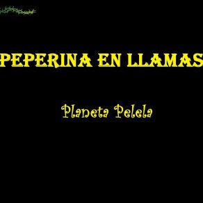 Download track Tata Dios Peperina En Llamas