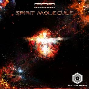 Download track Spirit Molecule Blue Lunar Monkey