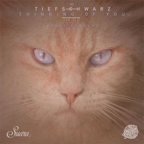 Download track Some Thing (Sinfol Remix) Tiefschwarz