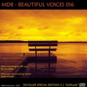 Download track Dancing With Loneliness Schiller, Kim Sanders