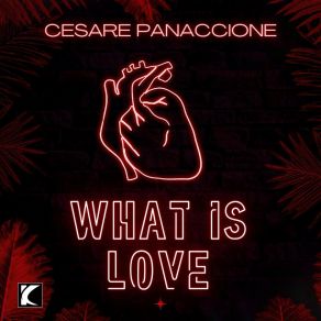 Download track What Is Love (Radio Edit) Cesare Panaccione