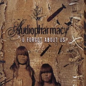 Download track Never Follow Audiopharmacy