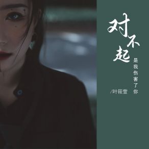 Download track 对不起是我伤害了你 (Dj阿骏 Remix) Ye Xiao Xuan阿骏