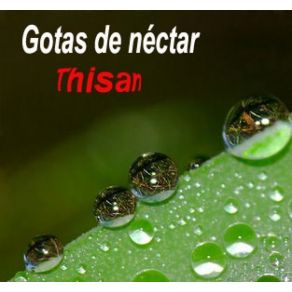 Download track GEST (Tación)  Thisan