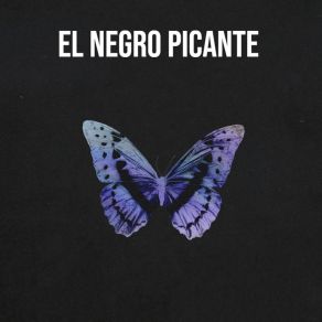 Download track El Negro Picante Los Alegres Parranderos