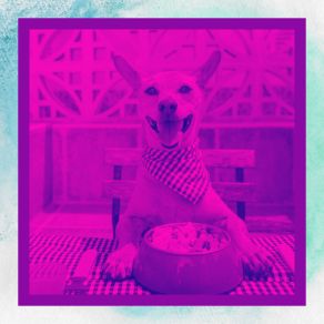 Download track Unique Music For Doggy Stress Music For Dogs Radio