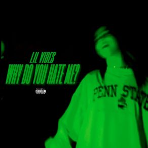 Download track Why Do You Hate Me? (Sped-Up Remix) Lil Vibes