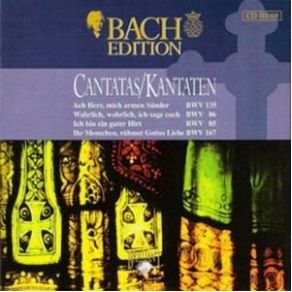 Download track Wahrlich, Wahrlich, Ich Sage Euch BWV 86 - VI Choral (Coro) Johann Sebastian Bach