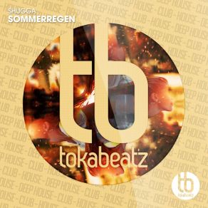 Download track Sommerregen (Fear Remix) Shugga