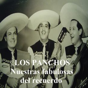 Download track Mi Magdalena Los Panchos