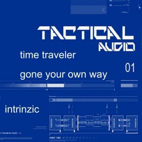 Download track Time Traveler Intrinzic