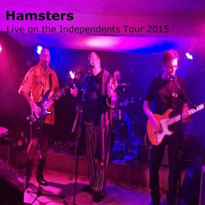 Download track Waving Not Drowning (Live) The Hamsters