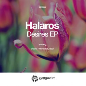 Download track Momentary Flash (Original Mix) Halaros