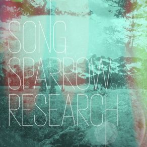 Download track Rain Storm Song Sparrow Research