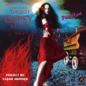 Download track Tekirdağ Karşılaması Traditional Turkish Gypsy Music