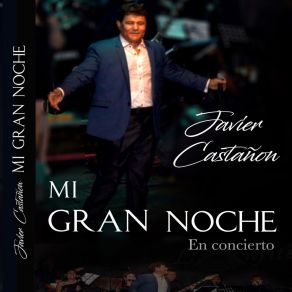 Download track Un Gran Amor Y Nada Mas (En Concierto) Javier Castañón