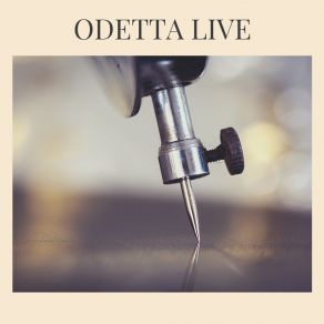 Download track Sometimes I Feel Like A Motherless Child (Live) Odetta