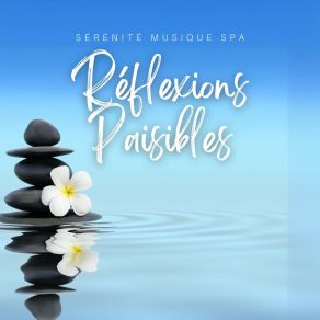 Download track Musique De Fond Pour Massage Sérénité Musique Spa