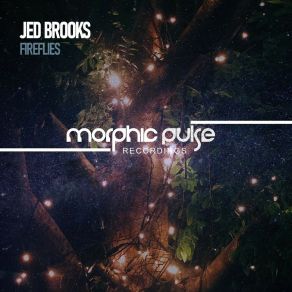 Download track Fireflies (Radio Edit) Jed Brooks
