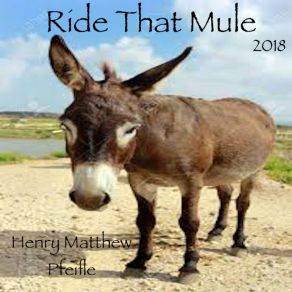 Download track My Mule Henry Matthew Pfeifle