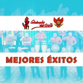 Download track Flor De La Habana Cardenales Del Exito