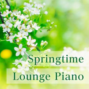 Download track Springing Back To Life Mikito Nakatani