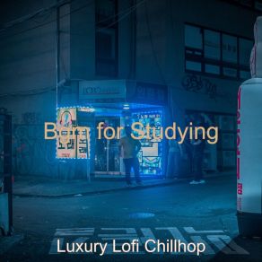 Download track Number One Study Time Luxury Lofi Chillhop