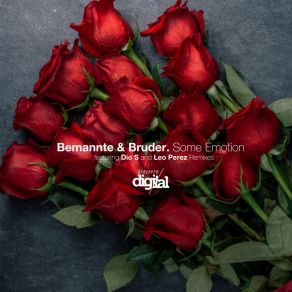 Download track Some Emotion (Leo Perez Remix) Bruder