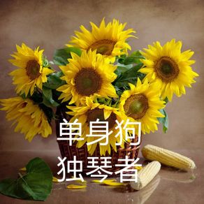 Download track 我还记得 独琴者