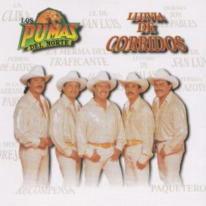 Download track Lluvia De Balas Los Pumas Del Norte