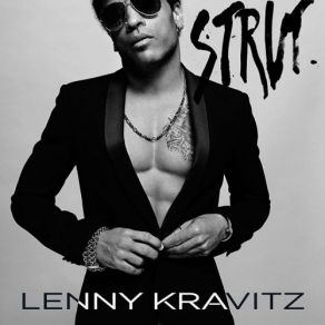 Download track I Never Want To Let You Down Lenny Kravitz