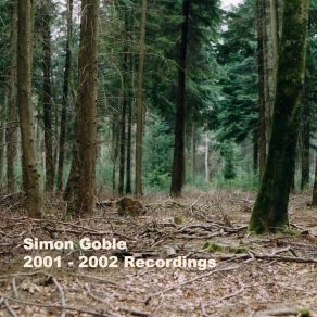 Download track Surrounded By Turtles Simon Goble