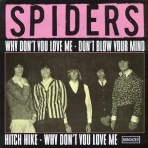 Download track Hitch Hike The Spiders