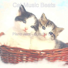 Download track Smoky Ambience For Resting Cats Cat Music Beats