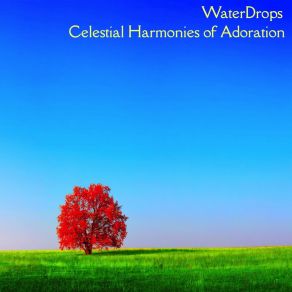 Download track Enraptured Dance Of Hearts Waterdrops