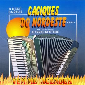 Download track Noite De São João Caciques Do Nordeste