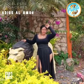 Download track Los Viejitos Jubilados Celeste Caceres