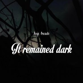 Download track It Remained Dark Joys Arcade