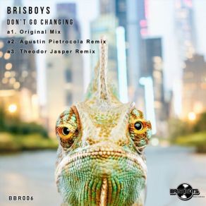 Download track Don't Go Changing (Agustin Pietrocola Remix) BrisboysAgustin Pietrocola, Remix