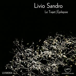 Download track Epilepsie Livio Sandro