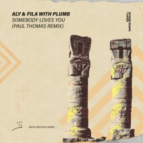 Download track Somebody Loves You (Paul Thomas Extended Remix) Plumb, Aly & Fila