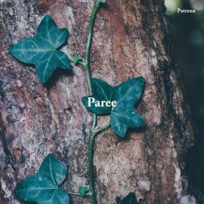 Download track Paree Patreon