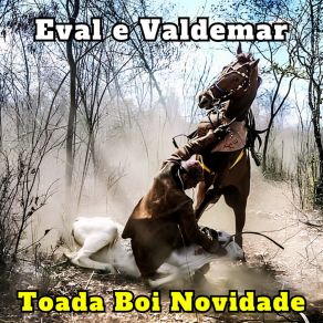 Download track Toada Boi Novidade Eval E Valdemar