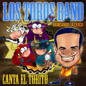 Download track Llego Tu Marido Los Toros Band