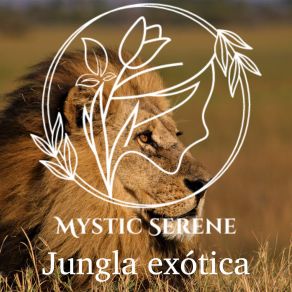 Download track Noche De Aventuras Mystic Serene