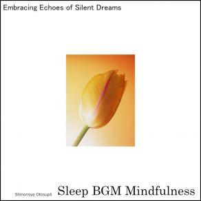 Download track Embracing Sleep In The Depths Of Night's Serenade Sleep BGM Mindfulness