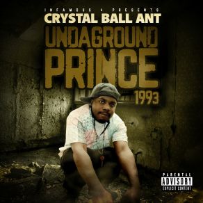 Download track Outro Crystal Ball Ant