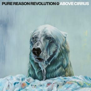 Download track New Kind Of Evil Pure Reason Revolution