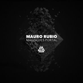 Download track Never Stop (Original Mix) Mauro Rubio