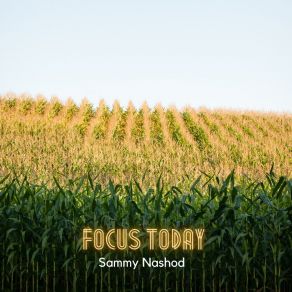 Download track Focus Today Sammy Nashod